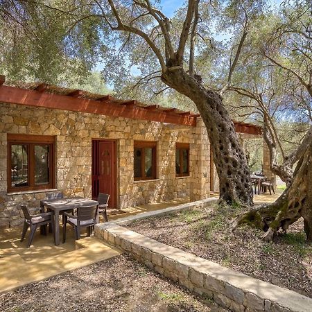 Stonehouse In Olives Appartement Ulcinj Buitenkant foto