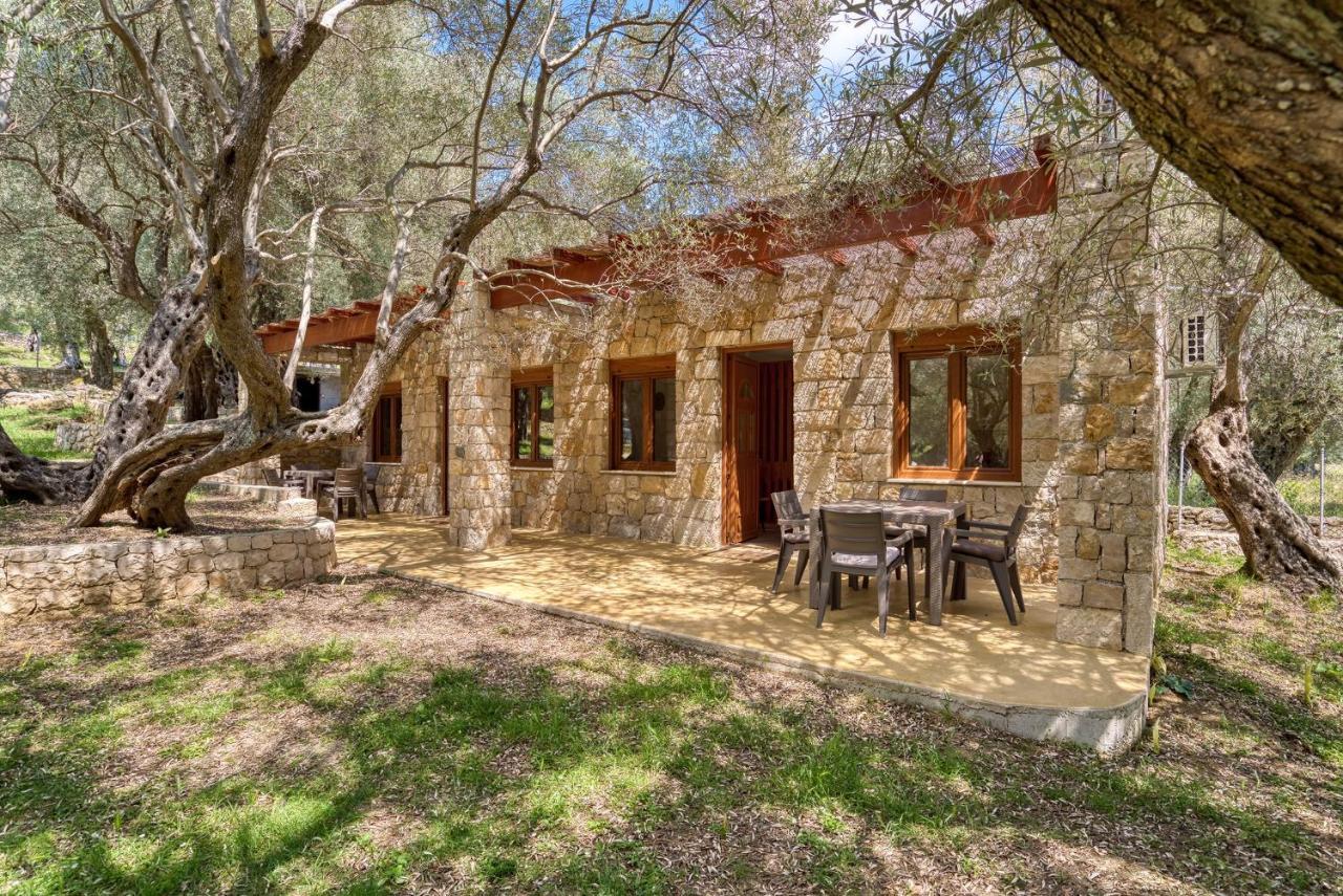 Stonehouse In Olives Appartement Ulcinj Buitenkant foto